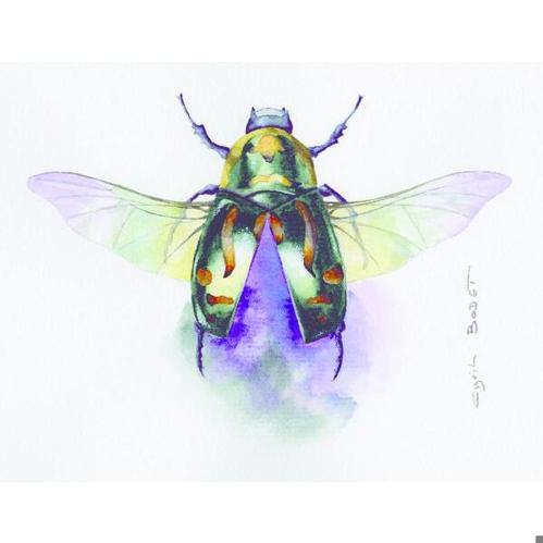 Clairefontaine Etival Aquarellpapier - feinkörnig Aquarellpapier