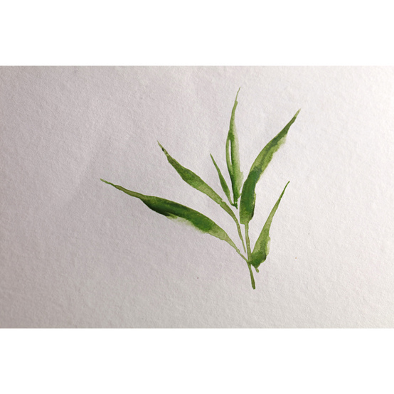 Clairefontaine Bamboo - Aquarellpapier
